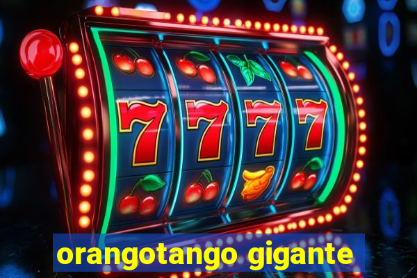 orangotango gigante